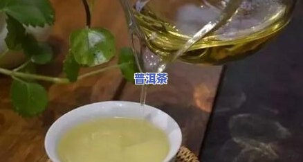 普洱茶冲泡更佳方法讲解