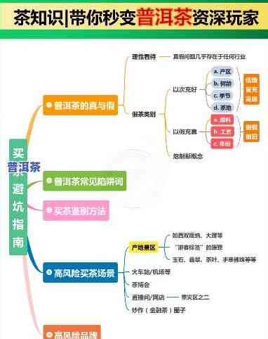 普洱茶分解视频教程：从基础到进阶的学习指南