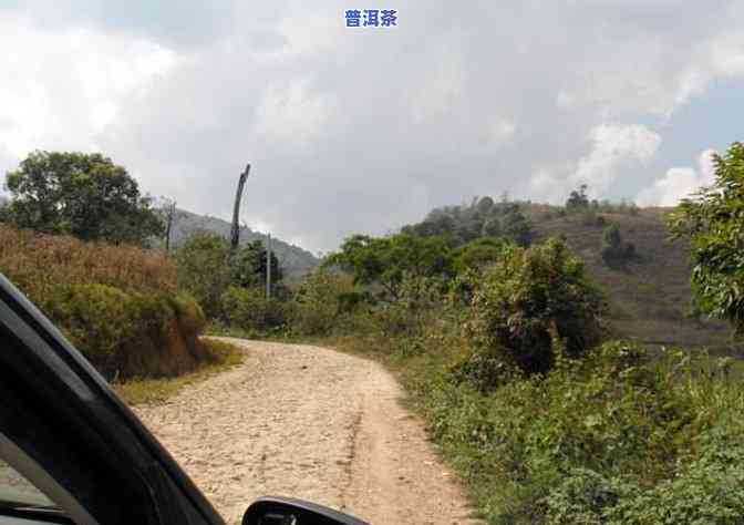 喝普洱茶怎么瘦的快一点-喝普洱茶怎么瘦的快一点呢