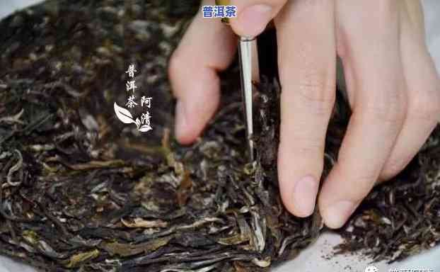 喝普洱茶真的能瘦吗？女性适用，效果怎样？