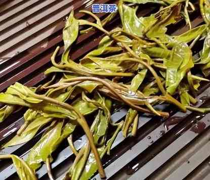 普洱茶饼为什么有茶梗呢，揭秘普洱茶饼中的茶梗：它们的作用和来源