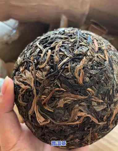 09年下关班章老树沱茶，探秘'09年下关班章老树沱茶