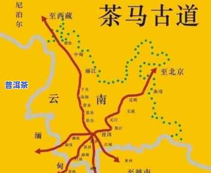 云南马帮入京进贡普洱茶：历史与文化背景的深度剖析