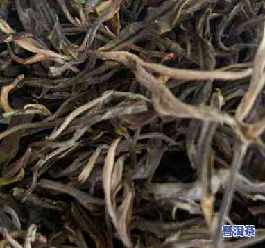 老班章大叶种晒青毛茶的价格走势：2019年多少钱？