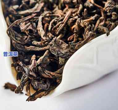 普洱茶1千克有哪种茶叶-普洱茶1千克有哪种茶叶好