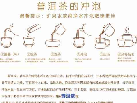 怎样冲泡橙皮普洱茶视频教程下载