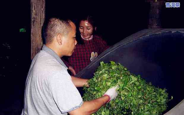 英语四级考试：探讨普洱茶的作用力与文化价值