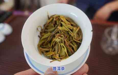 老班章茶王树68万：3200年古树茶1068万，同村其他古树价格曝光