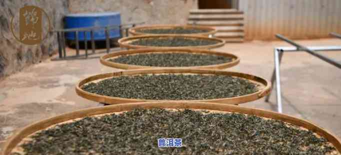 普洱茶制作工序概括内容：从原料解决到压制完成的过程解析