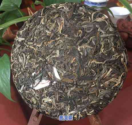 老班章介绍：揭秘普洱茶之王的历史与魅力