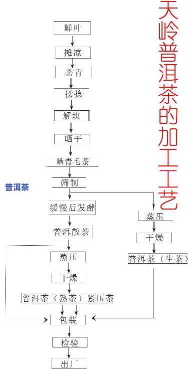 普洱茶制造的流程是什么-普洱茶制造的流程是什么呢