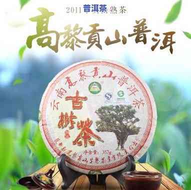 高黎贡山普洱茶古树茶，探寻云南普洱茶源头：高黎贡山古树茶的魅力