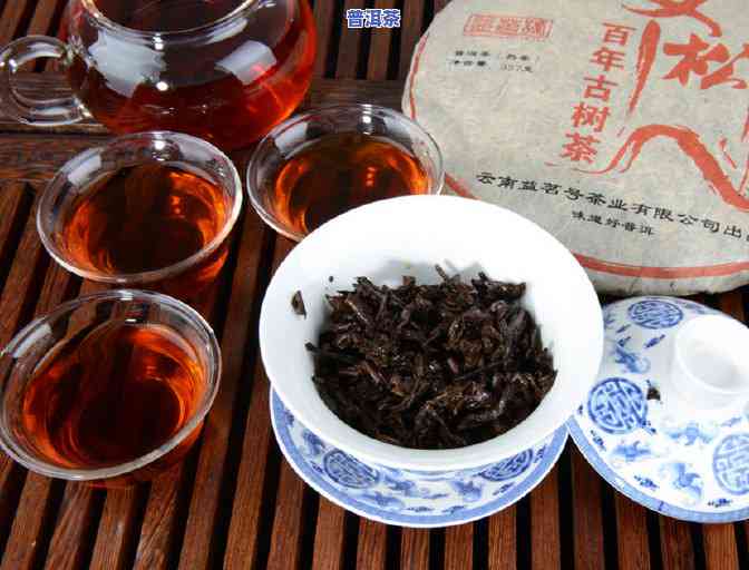 普洱茶的子是什么-普洱茶的子是什么样的