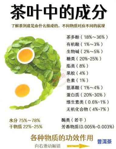 普洱茶成分对比表图解说明：全面解析茶叶营养成分