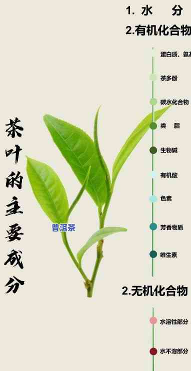 普洱茶叶成分，探究普洱茶的神秘成分：一种特别的饮品的秘密