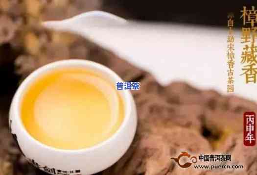 普洱茶樟香味是好茶么，探讨普洱茶的樟香味：它是好茶的标志吗？