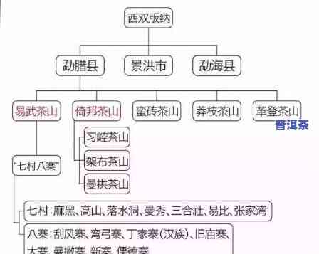 各产地普洱茶特点全解析：深度解读与精美图片