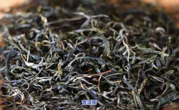 小户赛古树茶属于哪类茶，探秘茶叶世界：小户赛古树茶的分类归属