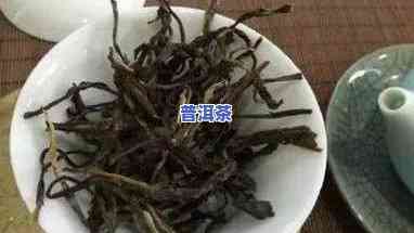 小户赛古树茶口感特点，探秘小户赛古树茶的独特口感