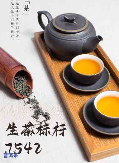 普洱茶荣升号7528，探索普洱茶的奥秘：荣升号7528的特别魅力