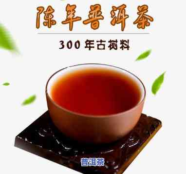 荣源号陈年普洱茶，品味历史与口感：探索荣源号陈年普洱茶的魅力