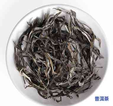 云南乔木普洱茶生茶特点-云南乔木普洱茶生茶价格