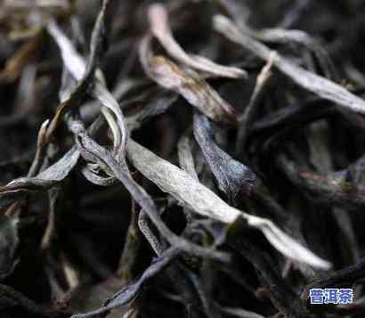 老班章：红茶？不属于红茶？