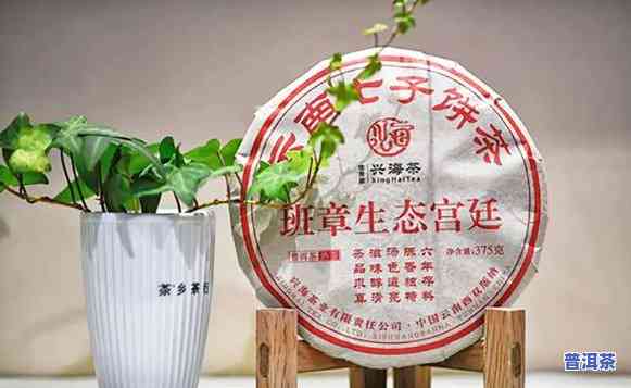 兴海茶老班章2020年，兴海茶业：揭秘2020年老班章普洱茶的特别魅力