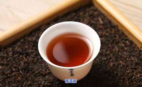 则道普洱茶好喝吗？口感、品质全方位解析