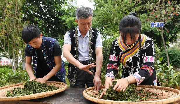 普洱茶制作技艺非遗保护-普洱茶制作技艺非遗保护措施