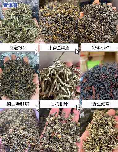 齐齐哈尔哪里卖茶叶更好？求推荐靠谱店铺！