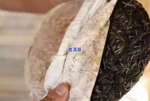 怎样制作普洱茶饼子视频教程，新手必看！普洱茶饼子制作全过程视频教程