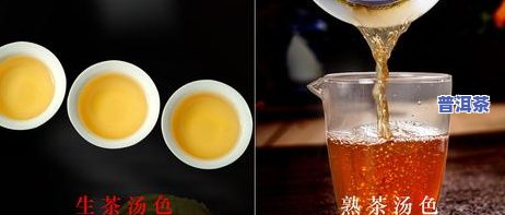 怎样分辨普洱茶：从饼形、色泽到口感，全面熟悉生熟之分与好坏评判标准