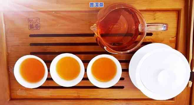 成都古树普洱茶冲泡方法-古树普洱茶怎么冲泡