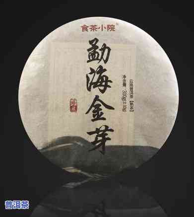 云南哪里生产普洱茶最多-云南哪里生产普洱茶最多的地方