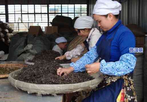 广东普洱茶加工厂在哪里-广东普洱茶加工厂在哪里啊