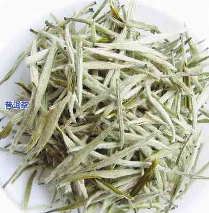 普洱茶的茶山是什么茶类-普洱茶的茶山是什么茶类的