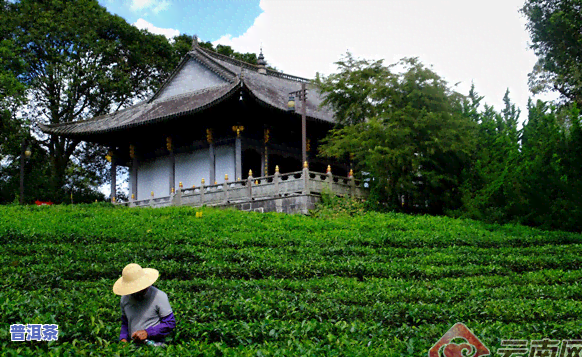 普洱茶博苑茶旅融合发展-普洱市茶博苑旅游