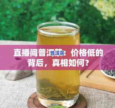 北京普洱茶直播始末，揭秘北京普洱茶直播：始末全解析