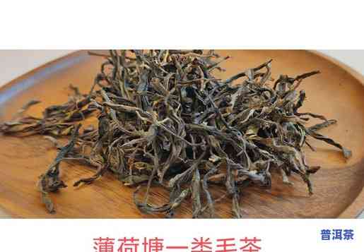 薄荷塘普洱茶被谁承包了-薄荷塘普洱茶在哪里