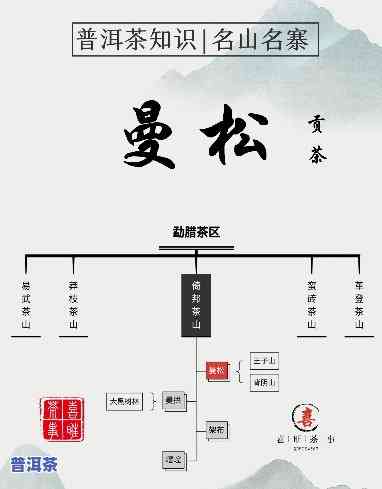 普洱茶曼松357克2008年：价格、口感与市场趋势分析