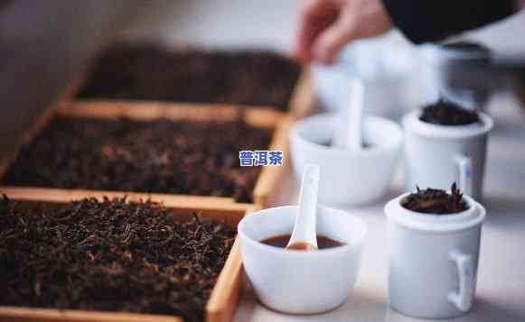 普洱茶拼配大师：探索神秘配方的技艺传承者