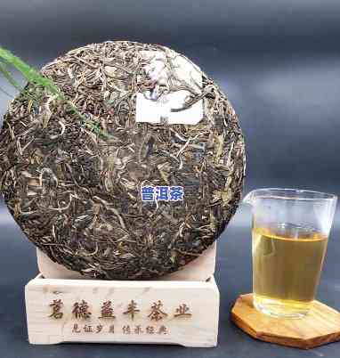 老班章生茶识茶实说-老班章生茶的特点和口感视频