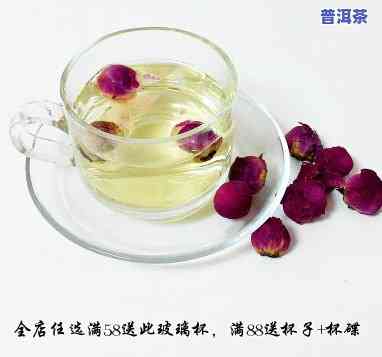 牡丹花茶属于什么茶，探秘牡丹花茶：它属于哪一类茶？