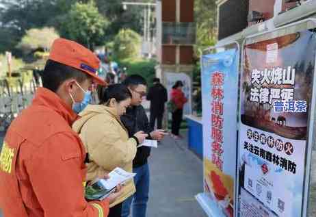 崇左普洱茶价格表及图片全览