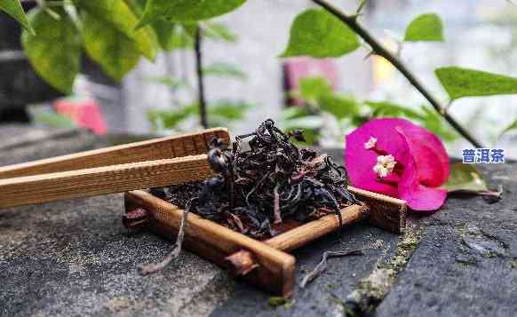 花草与普洱茶的完美结合-花草与普洱茶的完美结合是什么