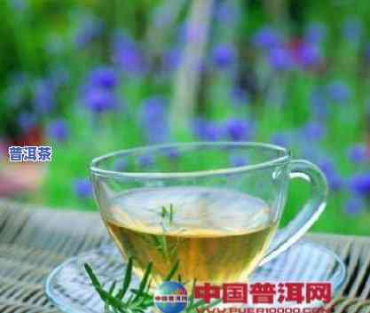 花草与普洱茶的完美结合-花草与普洱茶的完美结合是什么