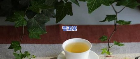 千家寨普洱茶特点口感，探秘千家寨普洱茶的特别口感与特点