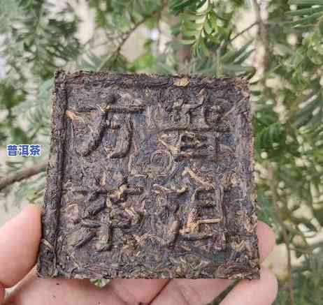 思茅古普洱小方砖，品味历史与口感的双重享受：思茅古普洱小方砖