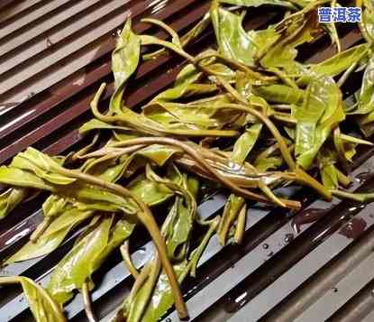 普洱茶梗太多好不好卖掉呢，普洱茶梗多是不是会作用销售？